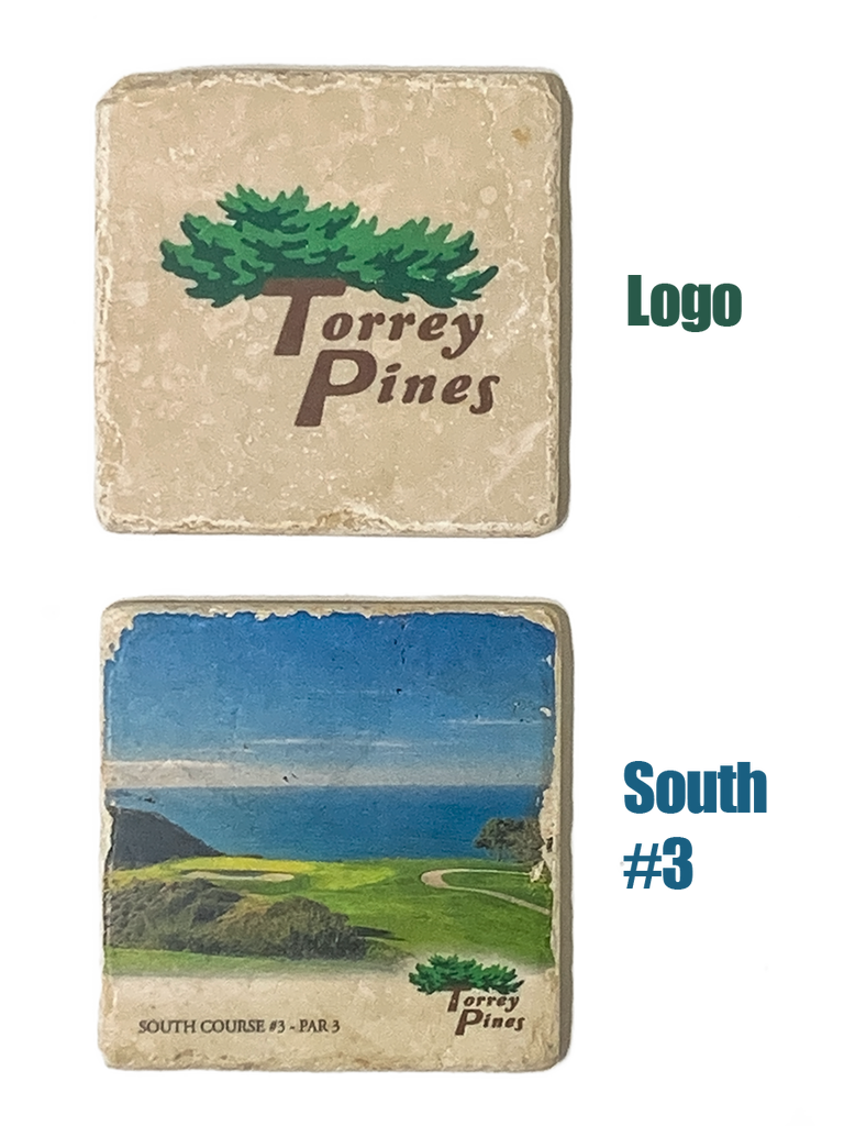 Torrey Pines Tumbled Marble Stone Coaster