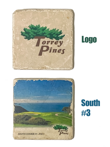 Torrey Pines Tumbled Marble Stone Coaster